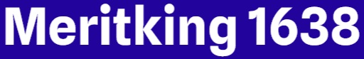 Meritking 1638