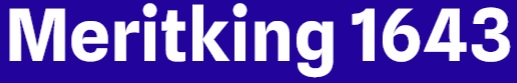 Meritking 1643