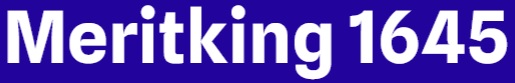 Meritking 1645