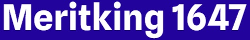 Meritking 1647