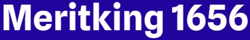 Meritking 1656