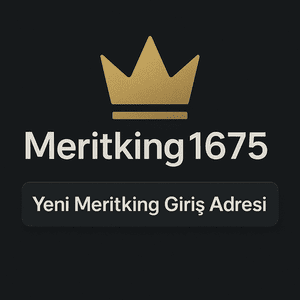 meritking1675