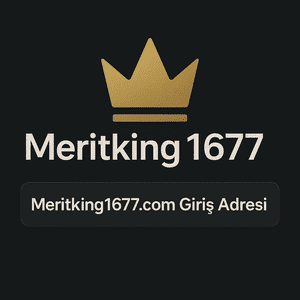 meritking1677